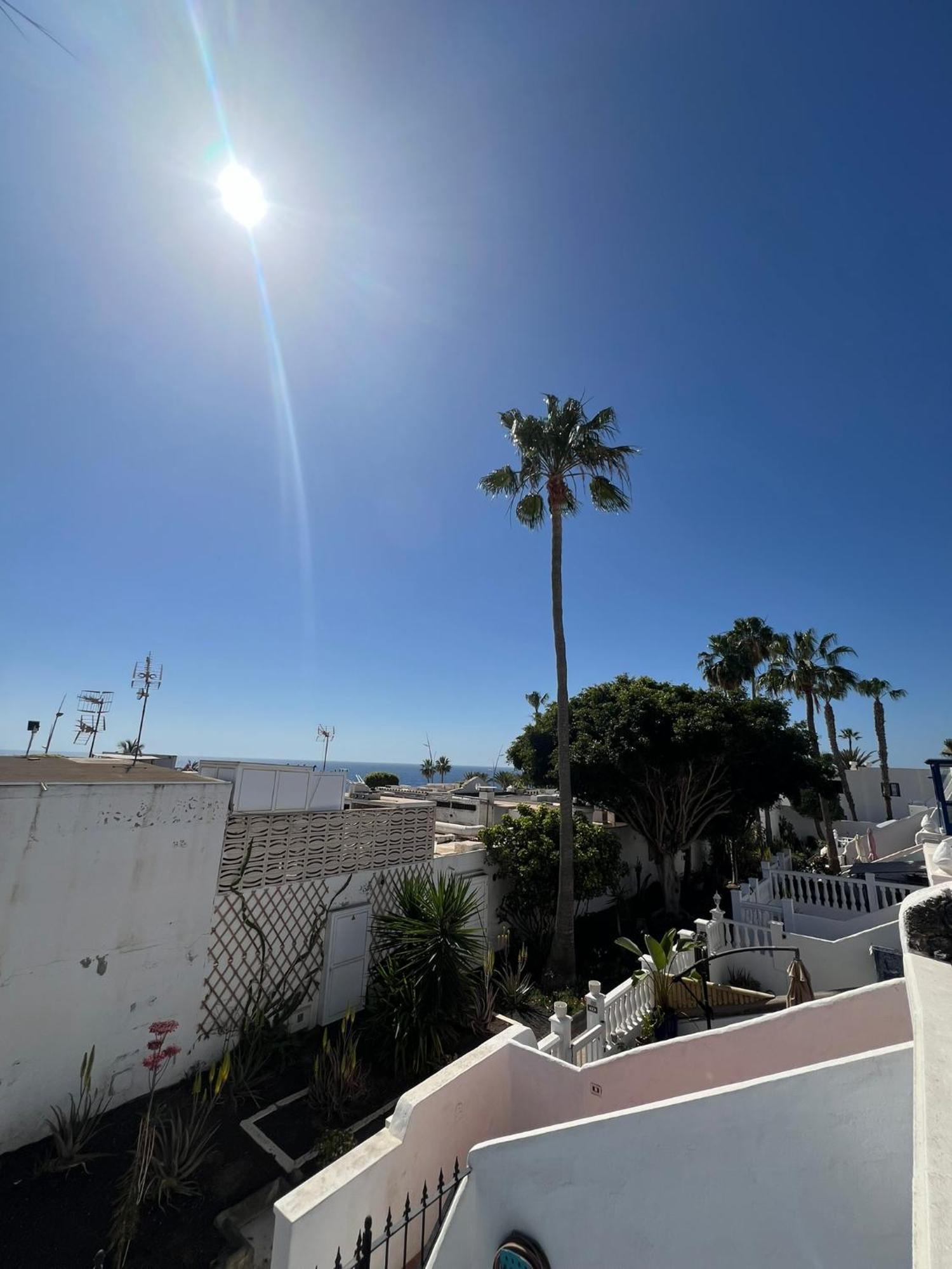 Appartement Casa Oasis *